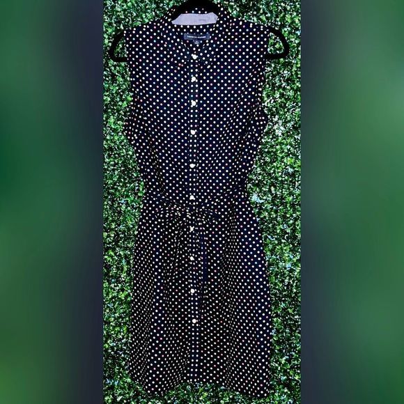 Women’s Tommy Hilfiger Navy and Multi Color Polka Dot Oxford Button Dress - Picture 1 of 6